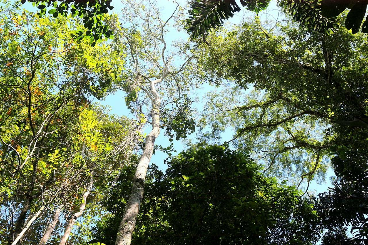 Misahualli Amazon Lodge Tena Exterior foto